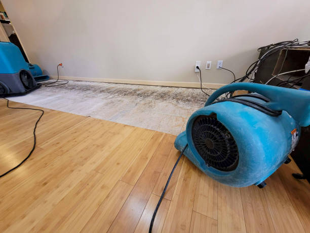 Professional Emergency Water Damage technician working in Plainfield, MA